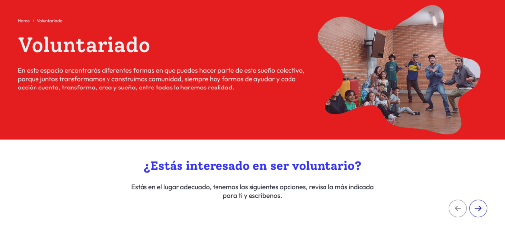 diseño web corporativa para fundación