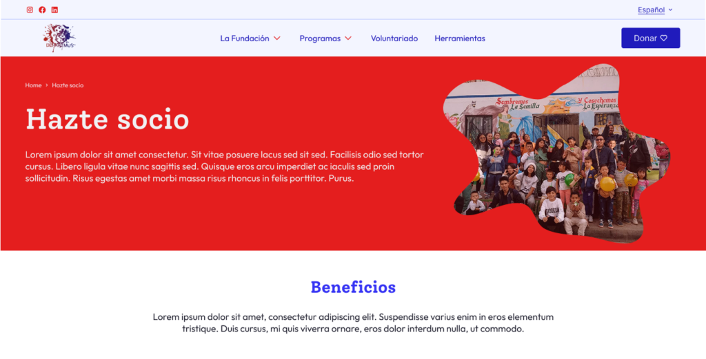 diseño web serfvicio